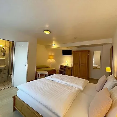 Hotel-pension Hommen Otel Koblenz (Rhineland-Palatinate)