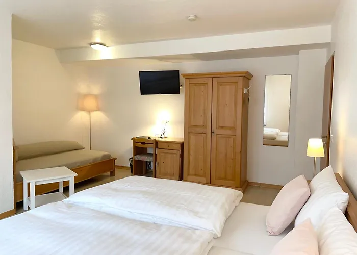 Hotel-pension Hommen Koblenz (Rhineland-Palatinate)