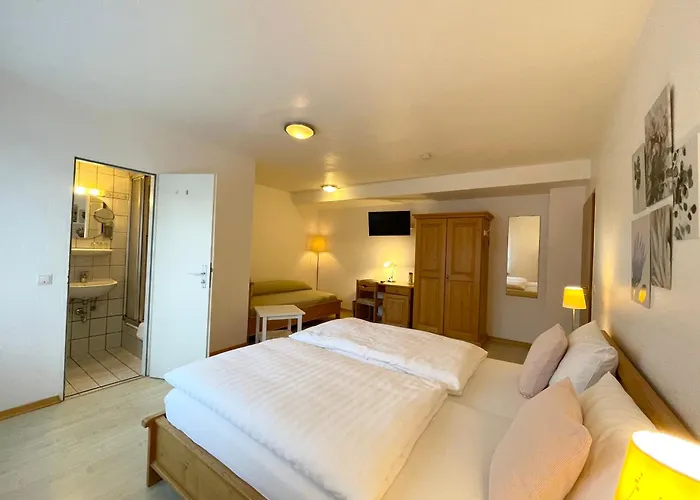 Hotel Hotel-pension Hommen Koblenz (Rhineland-Palatinate)